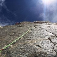 Le fou de l’aiguille