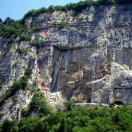 Le vieux de la montagne