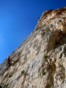 IMG_0719