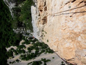 IMG_0743