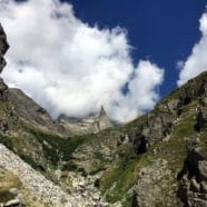 Visite obligatoire