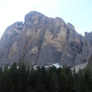 Il vecchio Leone